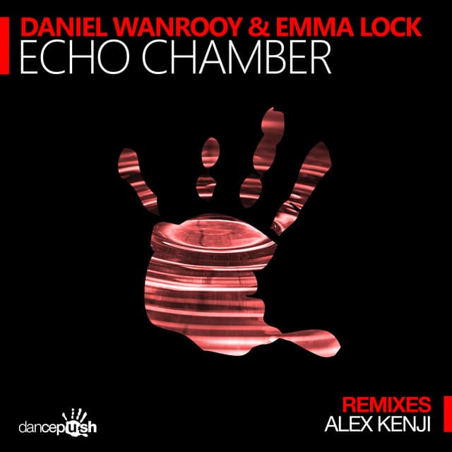 Echo Chamber - Alex Kenji Radio Edit cover art