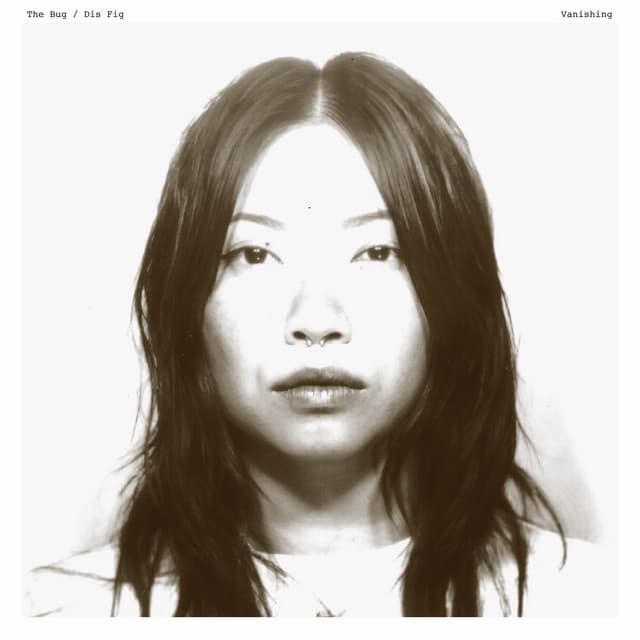 Vanishing - Vanished Dub cover art