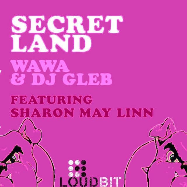 Secret Land - Wawa Full Vocal Radio Mix cover art