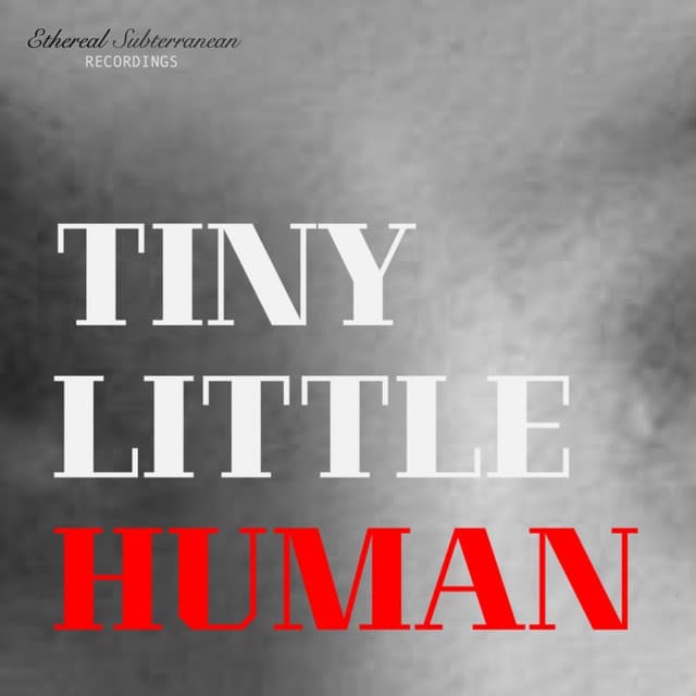 Tiny Little Human - Voodoo Porn Space Disco Remix cover art