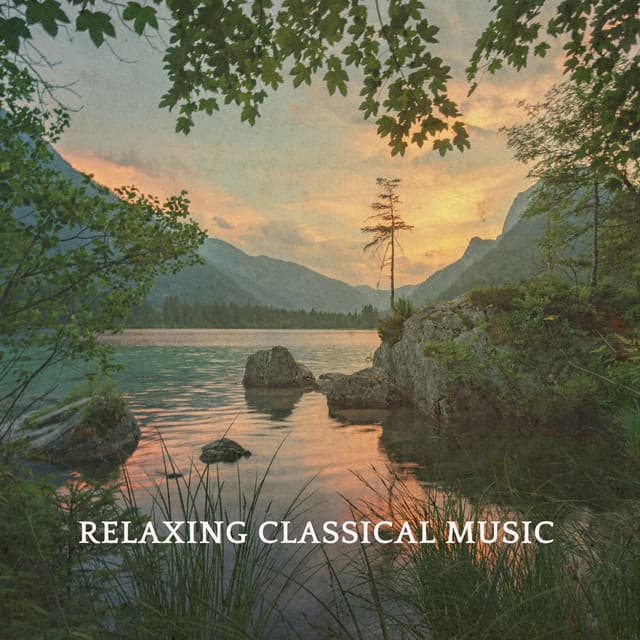 Lakmé: Flower Duet (Arr. for Violin and Strings by Vivan & Ketan Bhatti) cover art