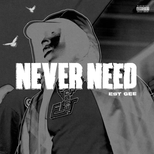 NEVER NEED (feat. Selfpaid Savage) cover art