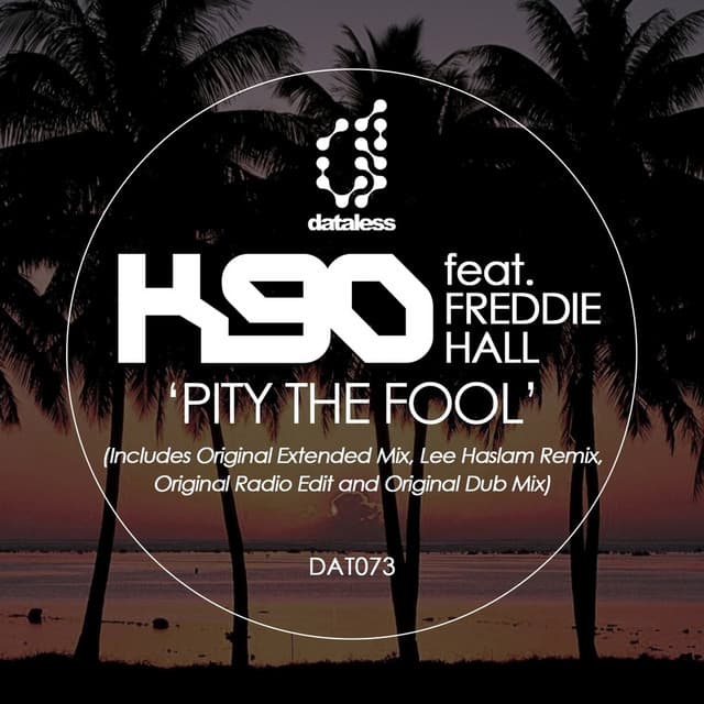 Pity the Fool - Lee Haslam Remix cover art