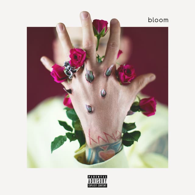 Rehab cover art