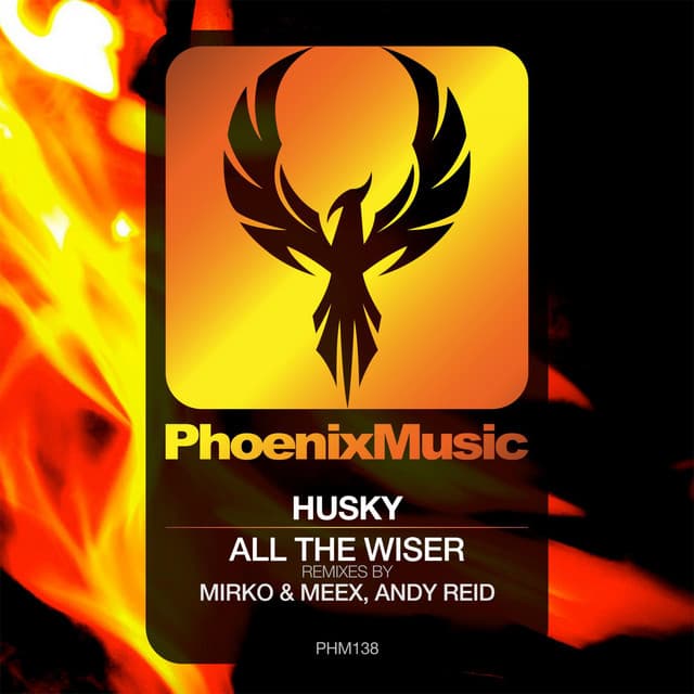 All The Wiser - Mirko & Meex Edit cover art