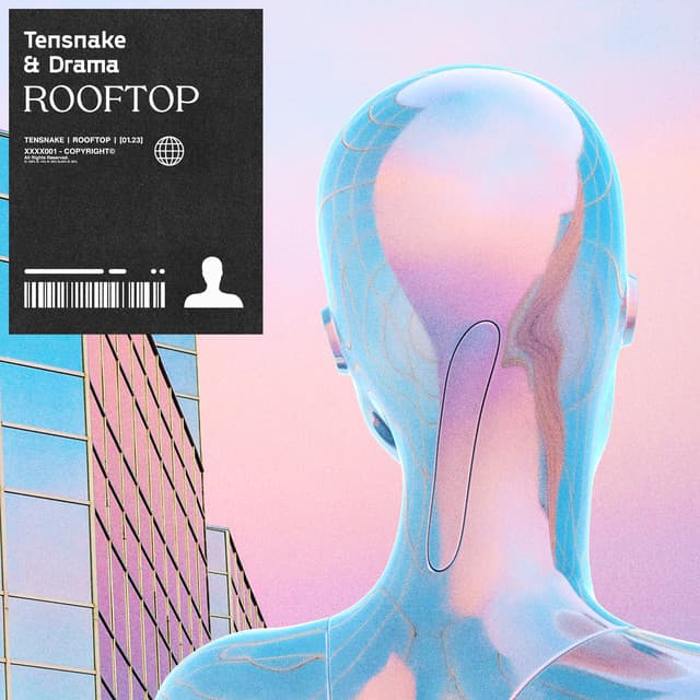 Rooftop cover art