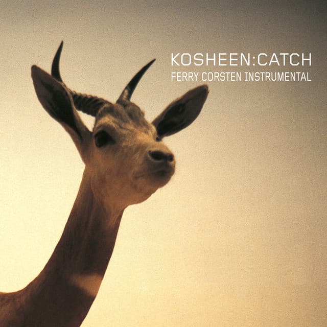 Catch - Ferry Corsten Remix cover art