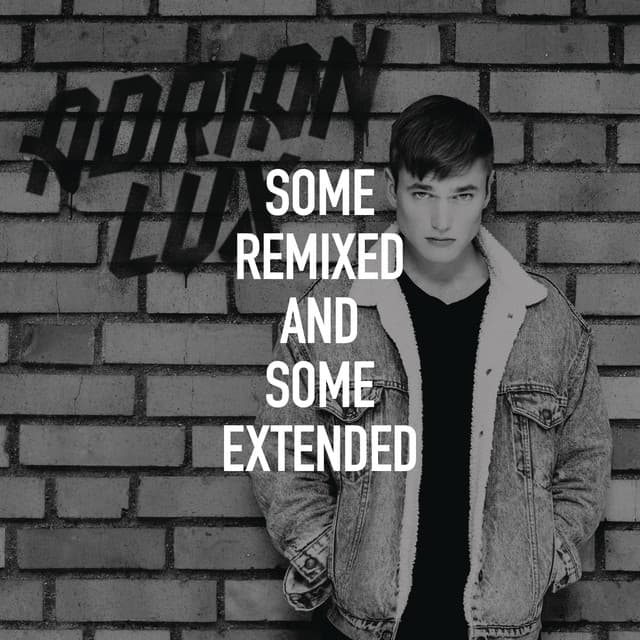 Some Remixed and Some Extended cover art