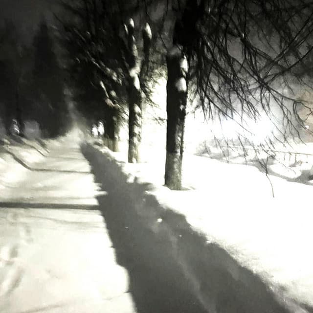 Walk in the cold cover art