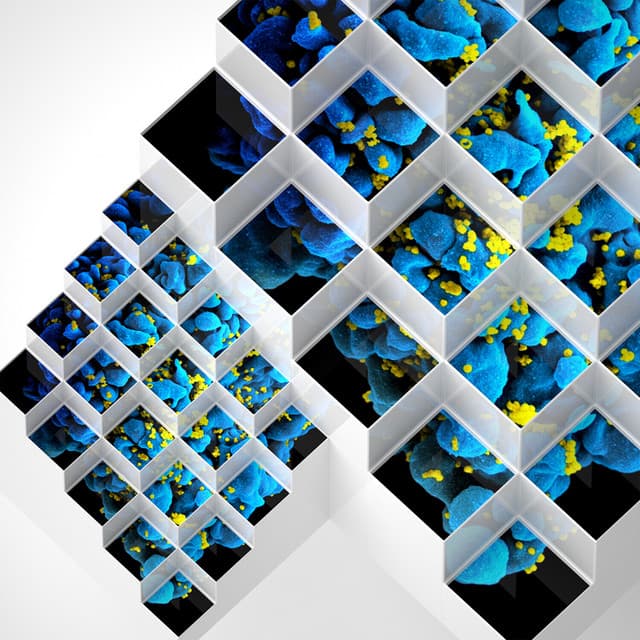 Crystalline Forms - Gaudi Remix cover art
