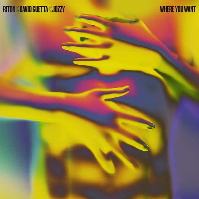 Where You Want cover art