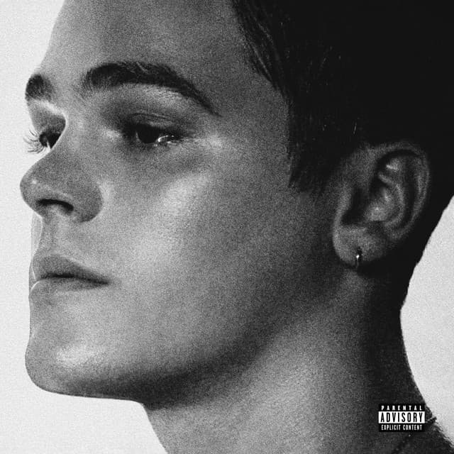Hypnotizing Wonder cover art