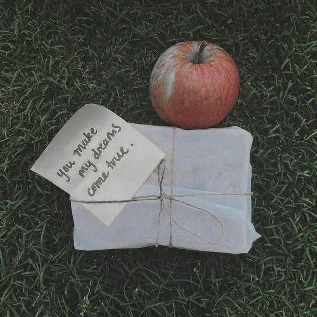 You Make My Dreams Come True cover art