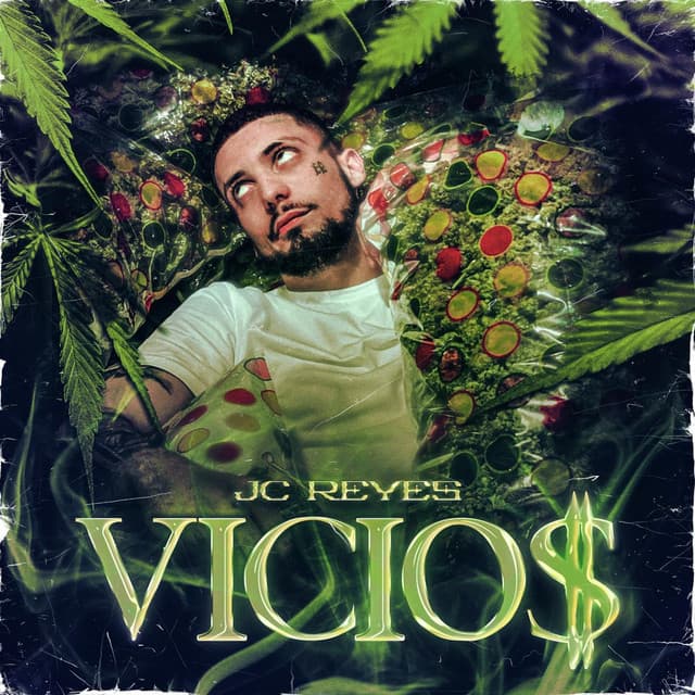 Buscando la vida cover art