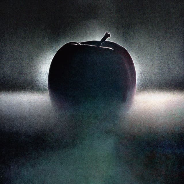 Shadow (Acappella) cover art