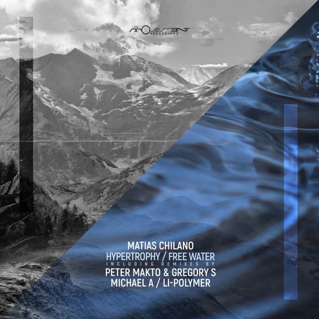 Free Water - Peter Makto & Gregory S Remix cover art