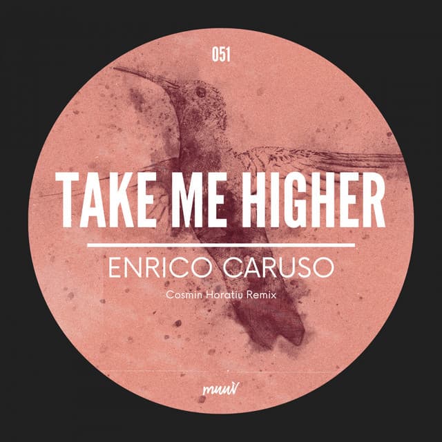 Take Me Higher - Cosmin Horatiu Remix cover art