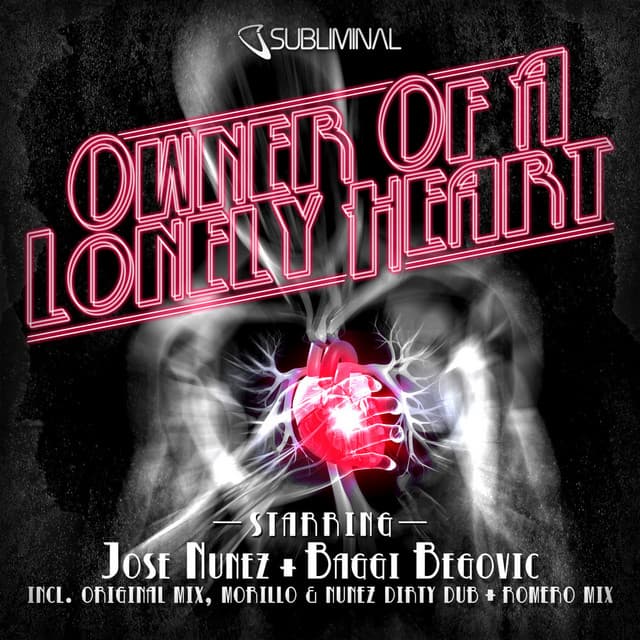 Owner of a Lonely Heart cover art