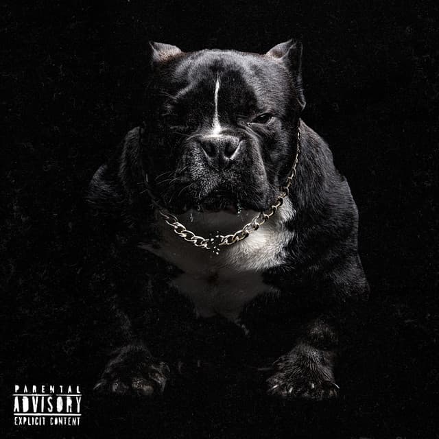 Me Dejo Caer la Greña cover art