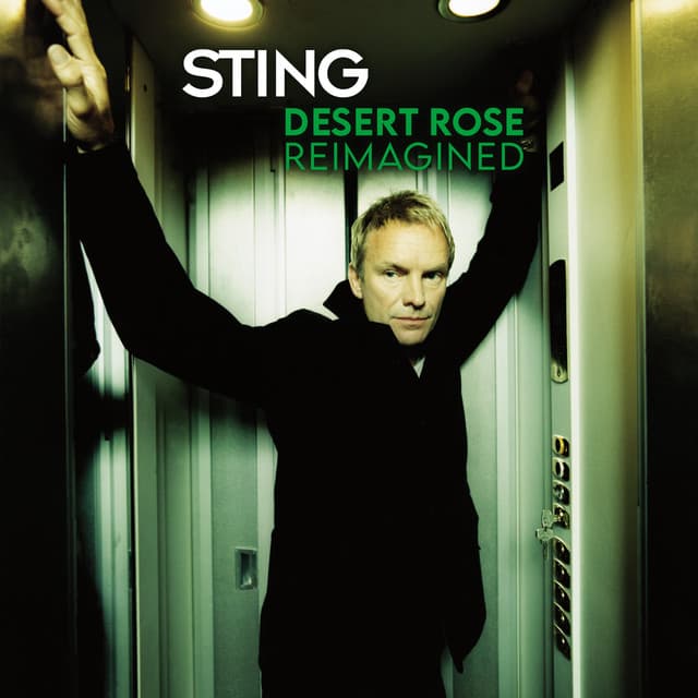 Desert Rose - Darque Remix cover art