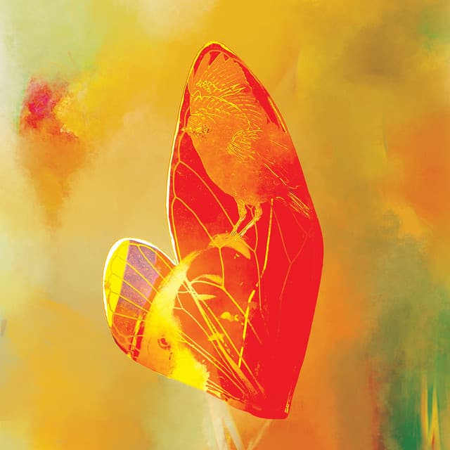 Awakening cover art