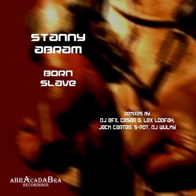 Born Slave - Lex Loofah Remix cover art