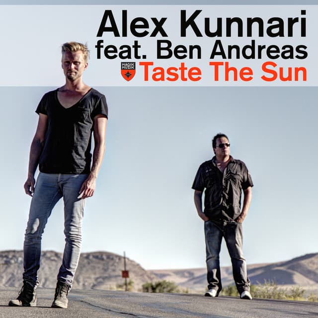 Taste the Sun - Radio Edit cover art