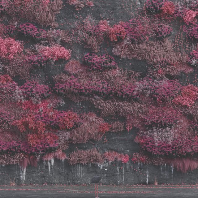 Damocles cover art