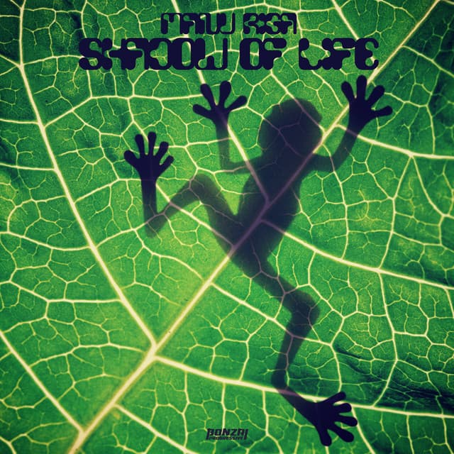 Shadow Of Life - Ben Solar Remix cover art