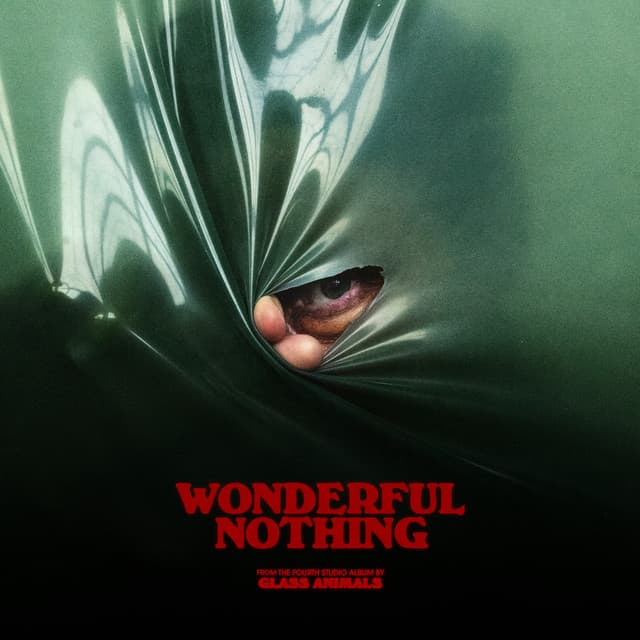 Wonderful Nothing (Edit) cover art