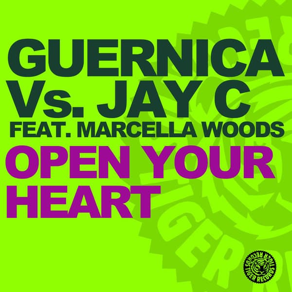 Open Your Heart - Phunk Investigation Remix cover art