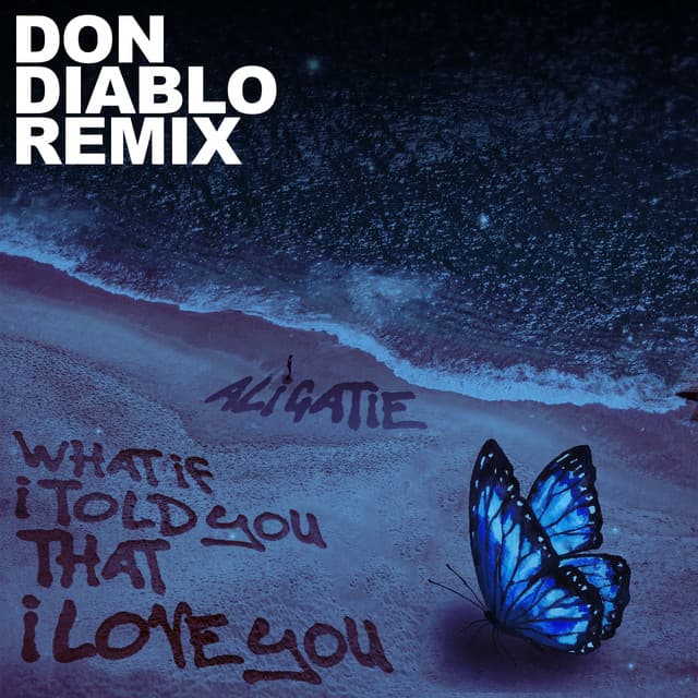 What If I Told You That I Love You - Don Diablo Remix cover art