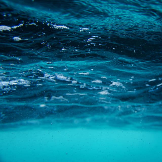 Holy Water (Sped Up) cover art