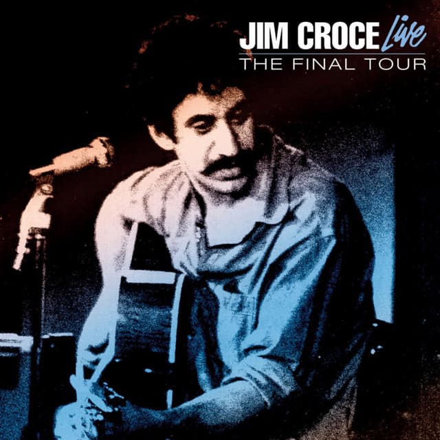 Live: The Final Tour cover art