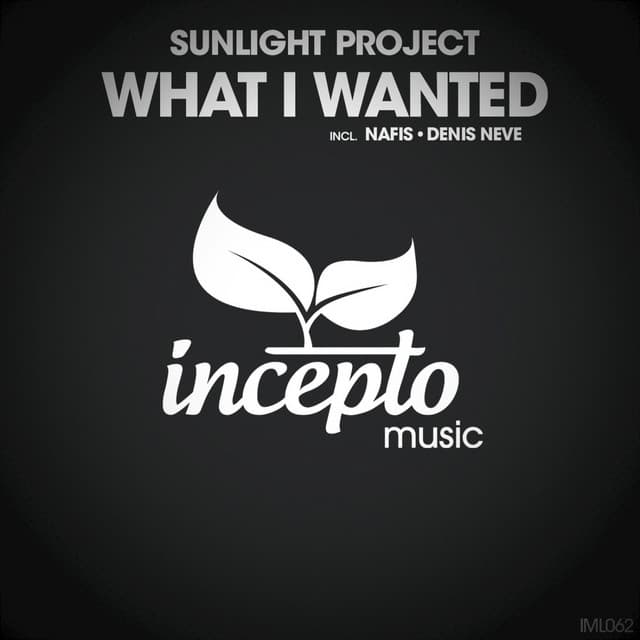 What I Wanted - Denis Neve Remix cover art