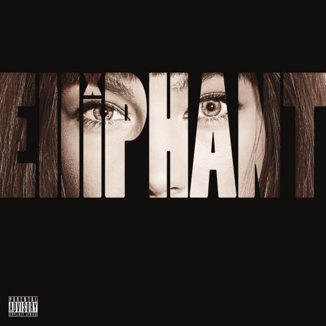 Can't Hear It - Jungle Remix cover art