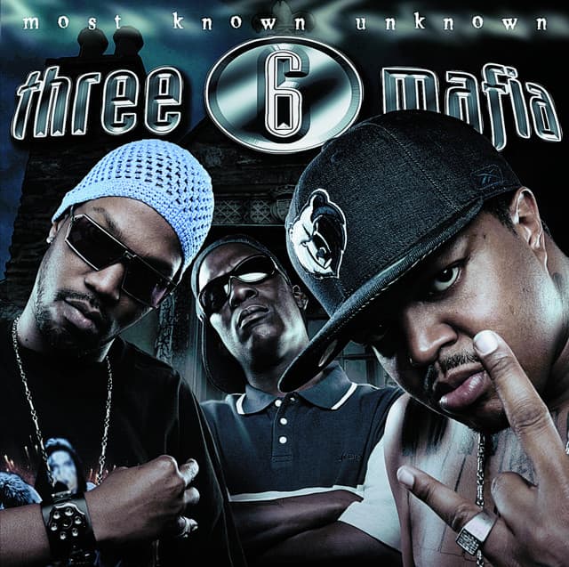 Stay Fly (feat. Slim Thug, Trick Daddy & Project Pat) - Remix cover art