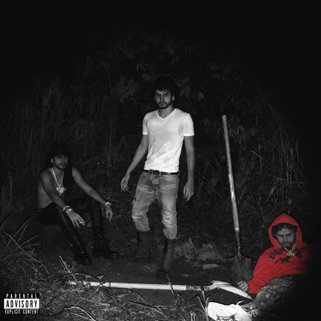 BIENVENIDA cover art