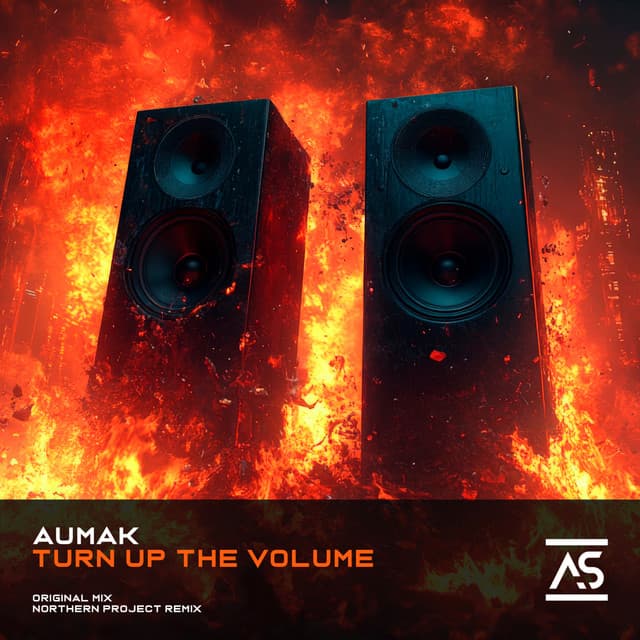 Turn Up the Volume - Northern Project Remix cover art