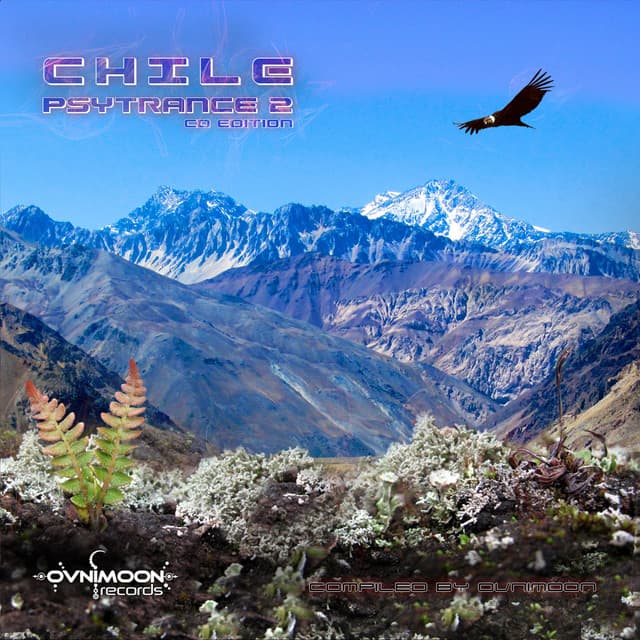 Fast Connection cover art