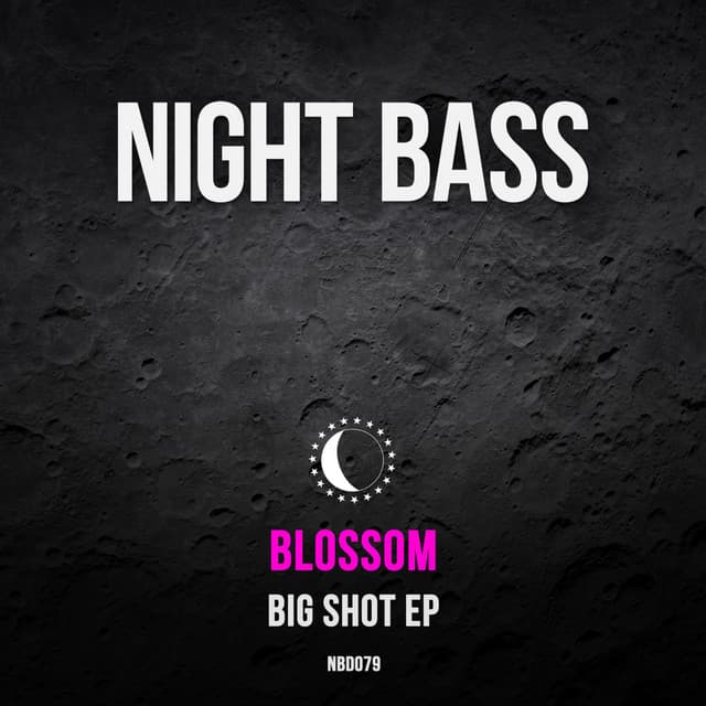 Big Shot cover art