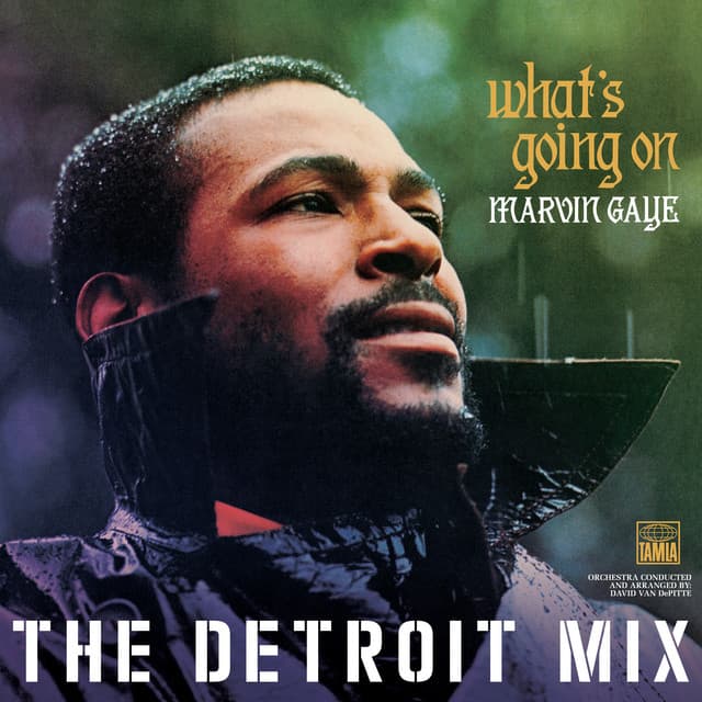 Inner City Blues (Make Me Wanna Holler) - Detroit Mix cover art