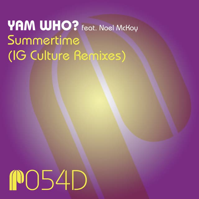 Summertime - NSM Summertime '09 Instrumental Mix cover art