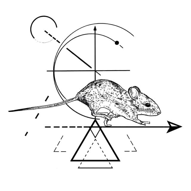 Surges cover art