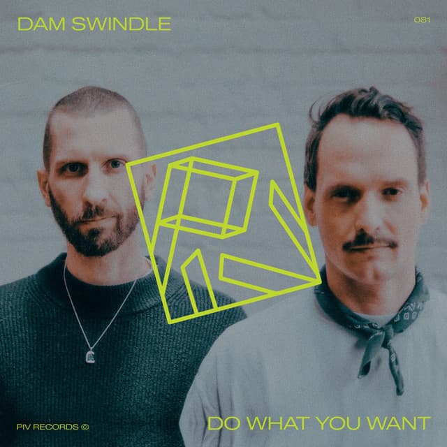 Do What You Want - Burnski Remix cover art
