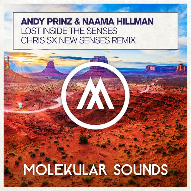 Lost Inside The Senses - Chris SX New Senses Remix cover art