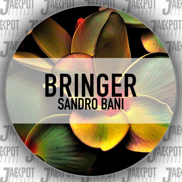 Bringer - Instrumental cover art