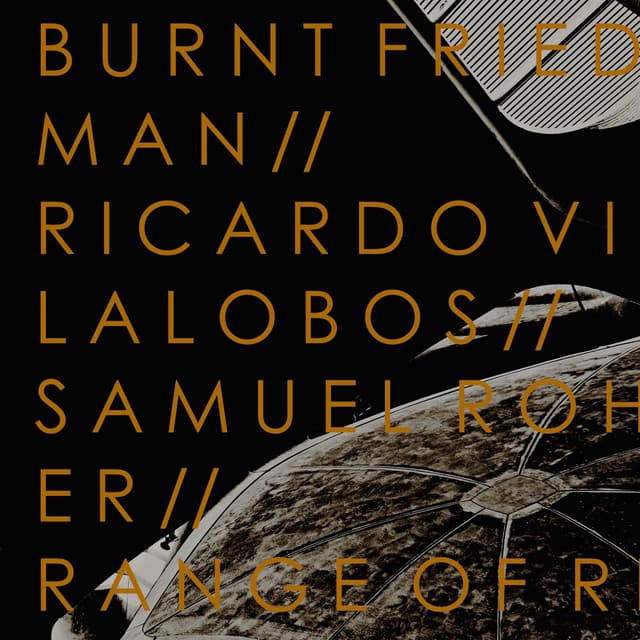 Microcosmoism - Burnt Friedman Remix cover art