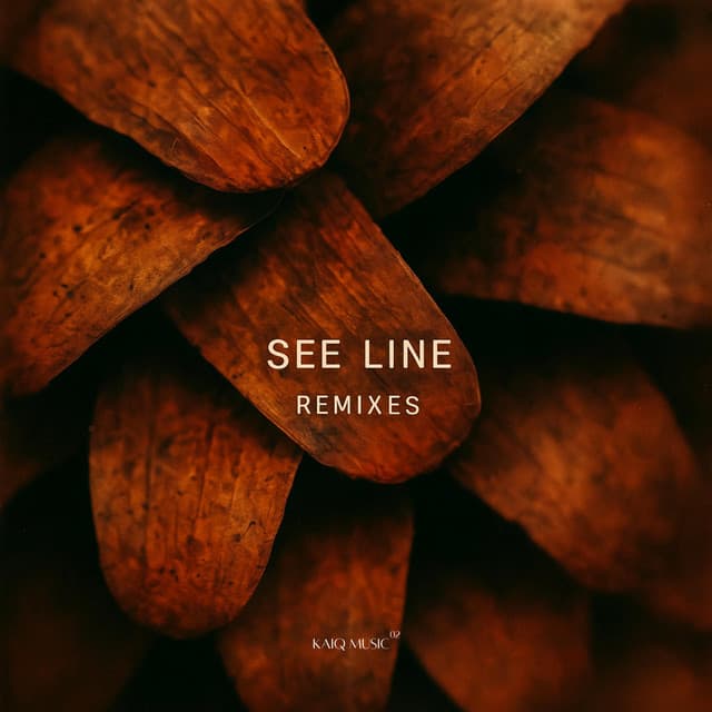 See Line - Gianni Firmaio Remix cover art