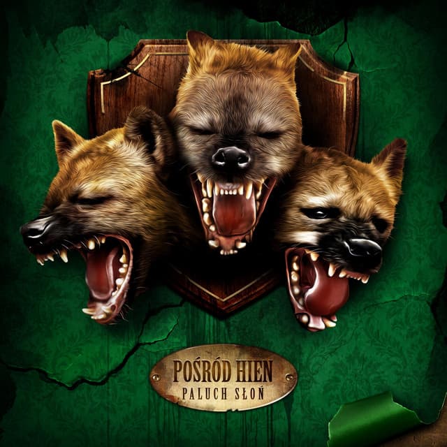 Jedna Nić cover art
